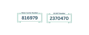 MC and US DOT number of Lupus Superior LLC